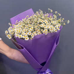Букет из 11 кустовых ромашек